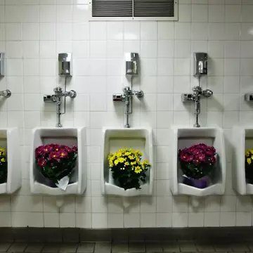 Flower show attendees might be surprised by some of the more inventive displays. PJ Taylor / Getty Images