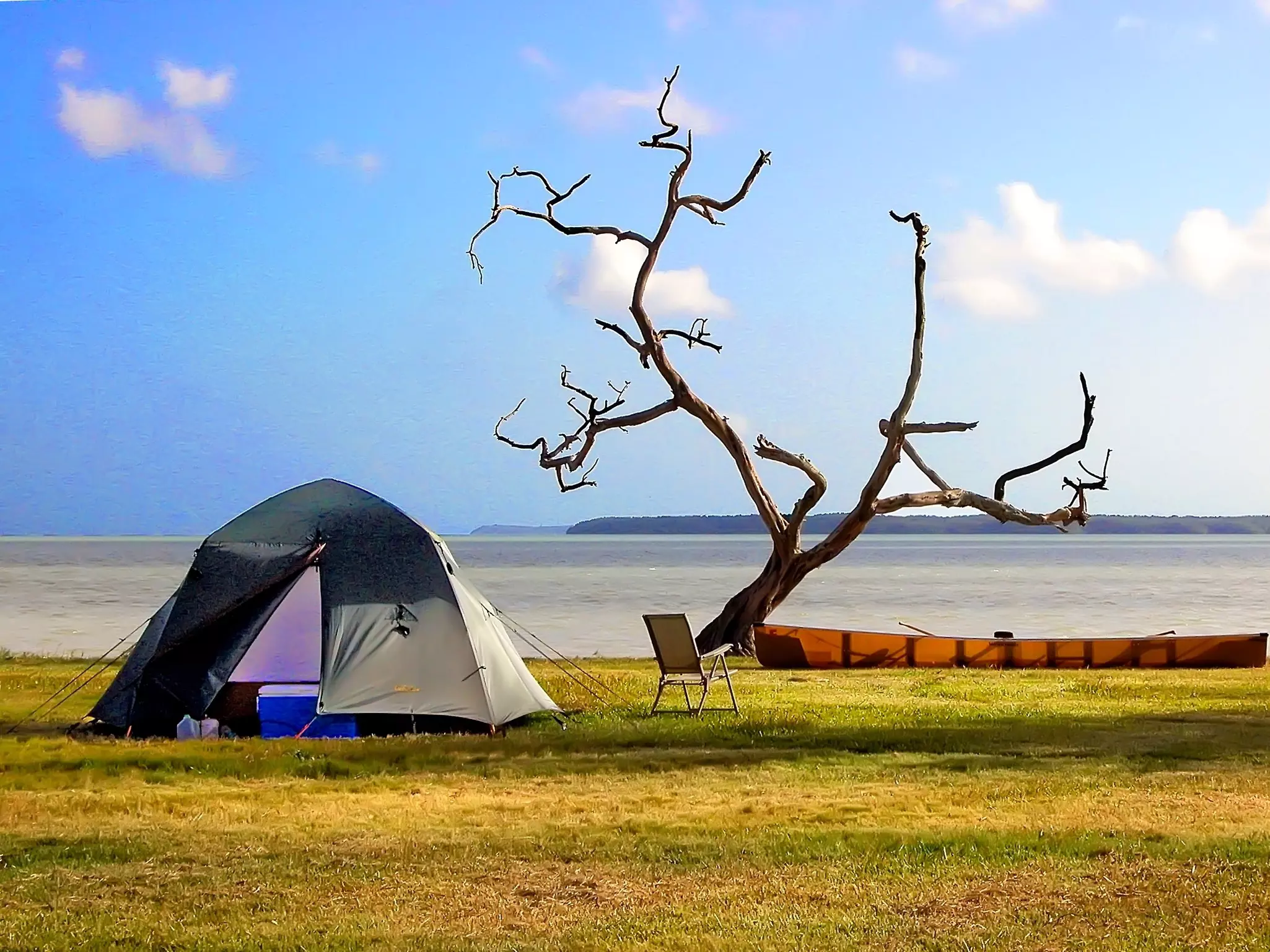 A tent is pitched on a lawn next to a dead tree with gnarled limbs. A body of water is seen in the distance.