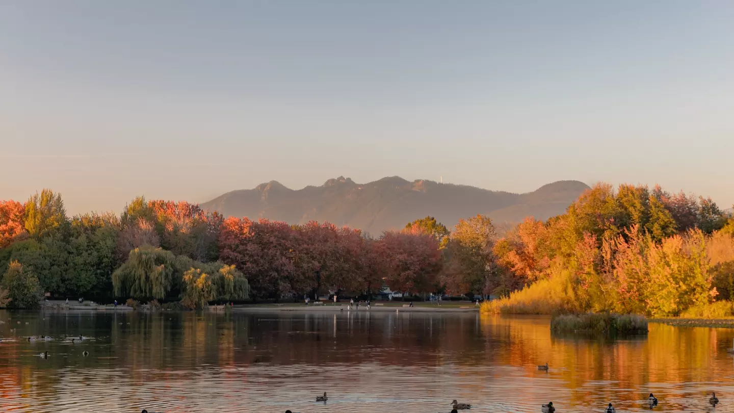 A lake with waterfowl surrounded by trees with autumn foliage; a mountain is in the background.