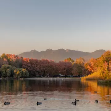 A lake with waterfowl surrounded by trees with autumn foliage; a mountain is in the background.
