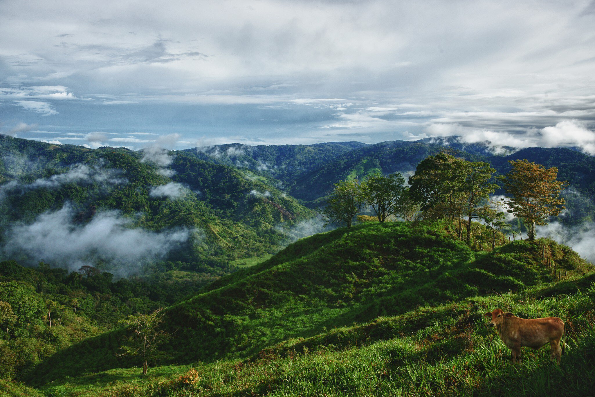 Panama