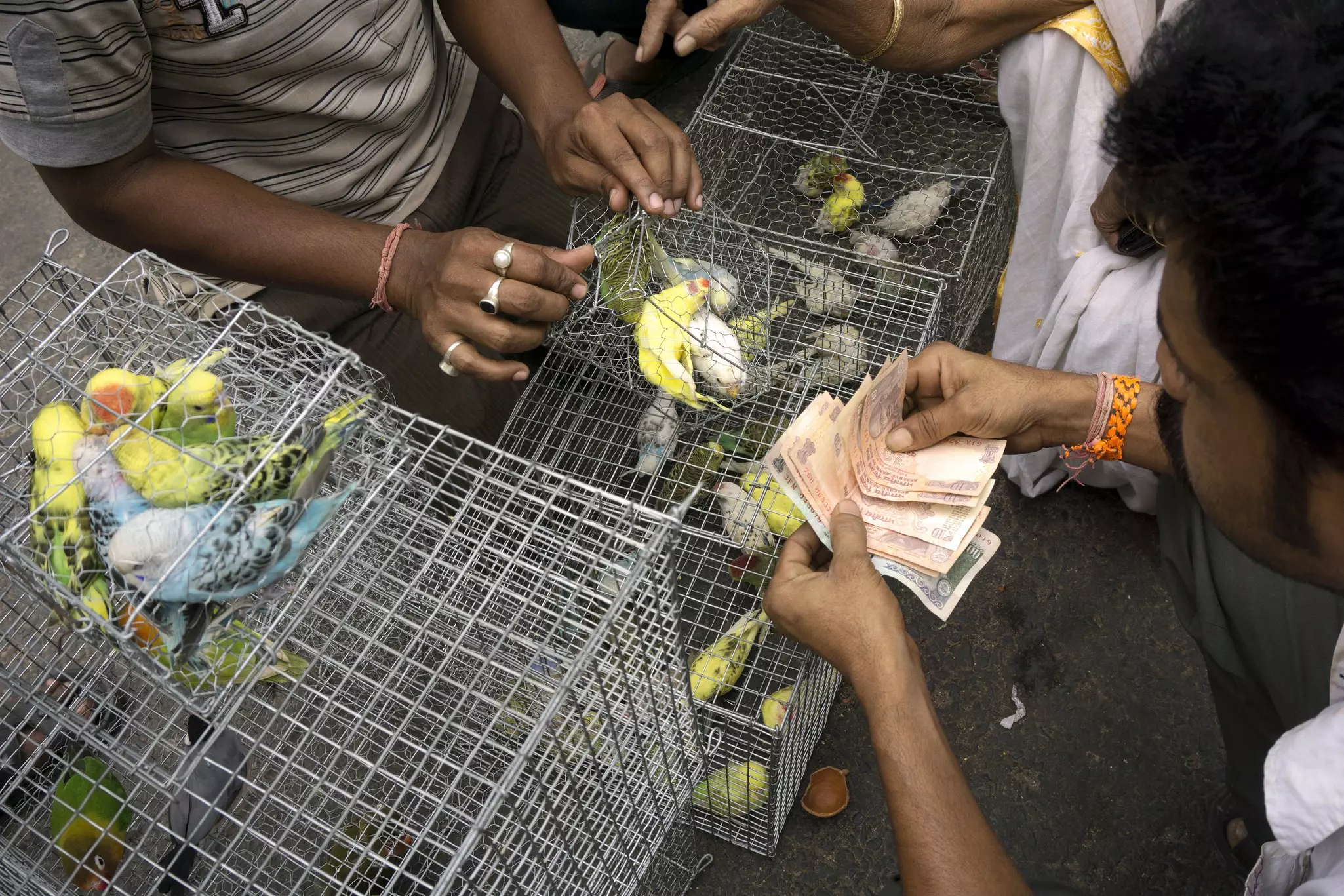 In India, you’ll be able to pay with cash just about anywhere you go © Subhendu Sarkar / LightRocket via Getty Images