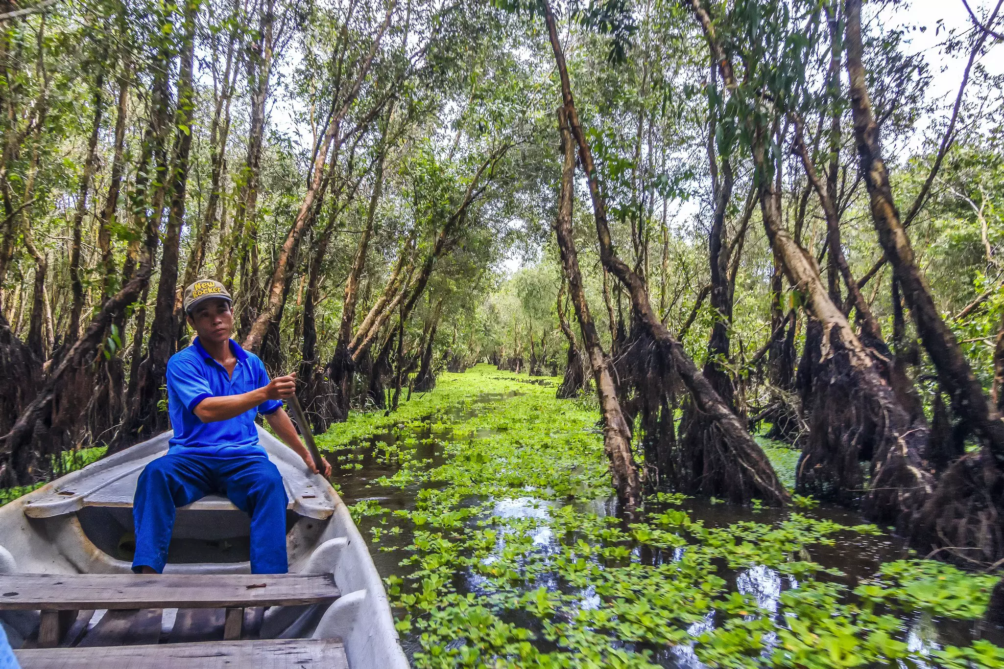 A man pushes a wooden boat along in a river surrounded by trees.
