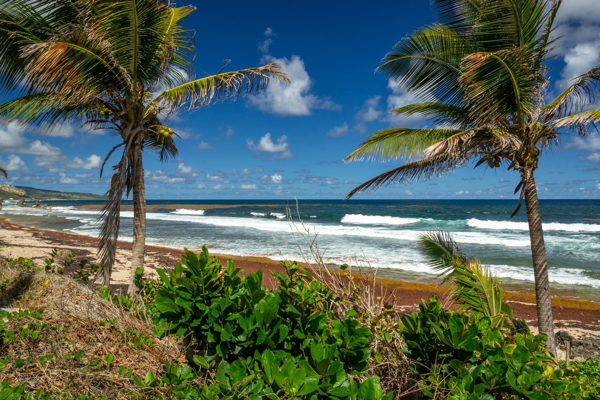 Beach at Soup Bowl in Bathsheba, Barbados.