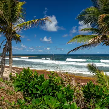 Beach at Soup Bowl in Bathsheba, Barbados.