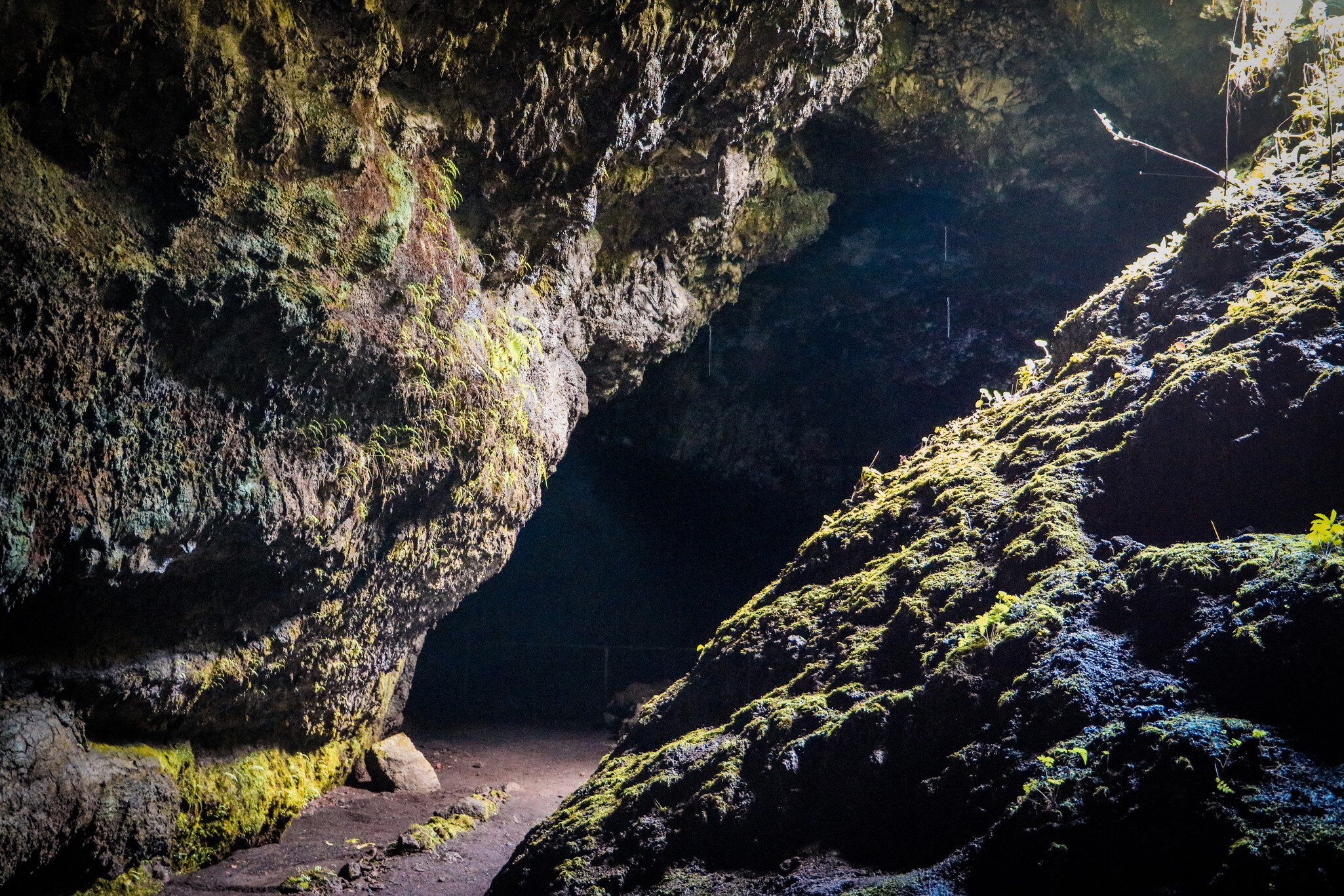 View from the entry to the Hana Lava Tube