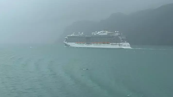 A cruise ship on the sea on an overcast day.