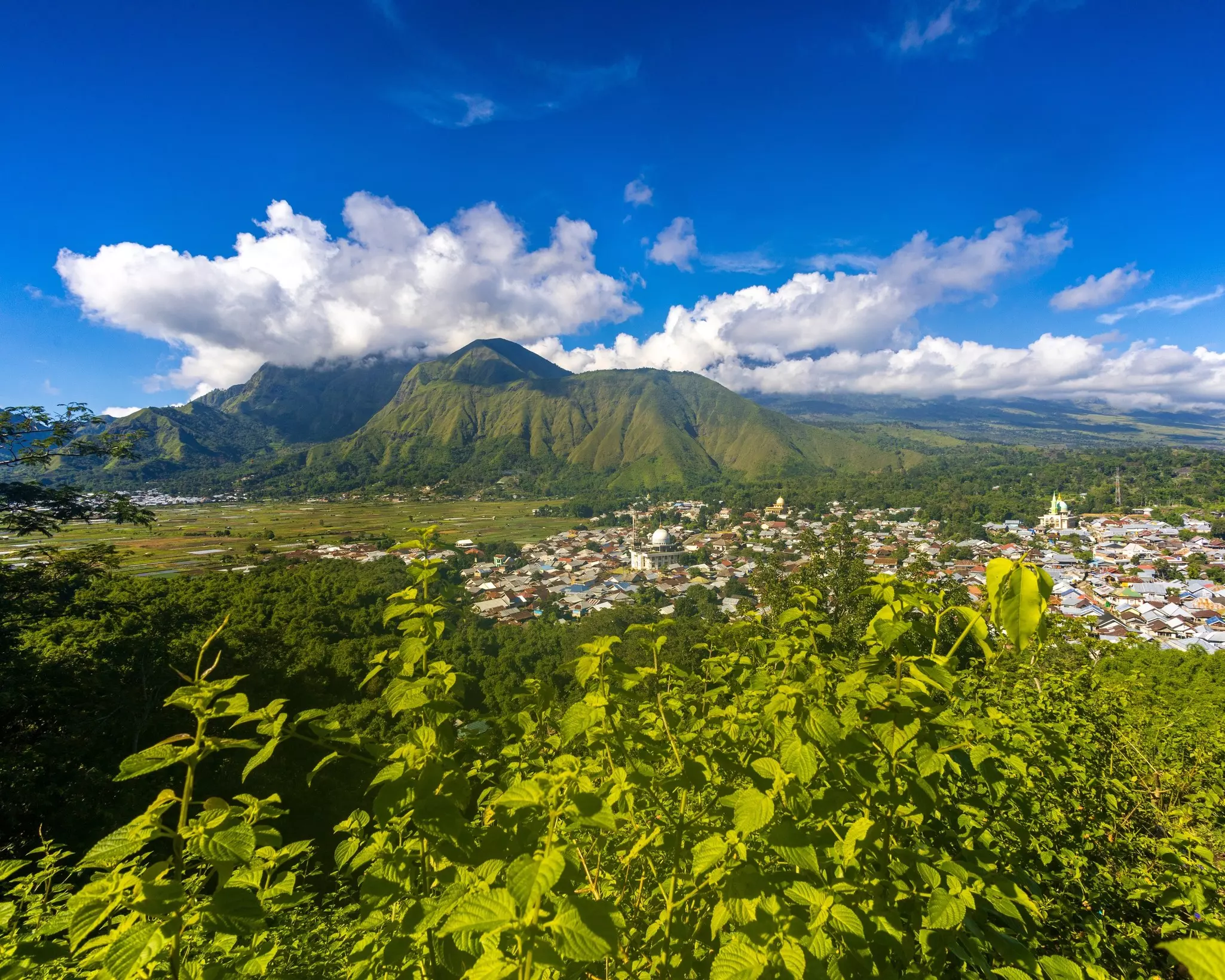 View of the green landscape around Sembalun, Lombok, Indonesia.