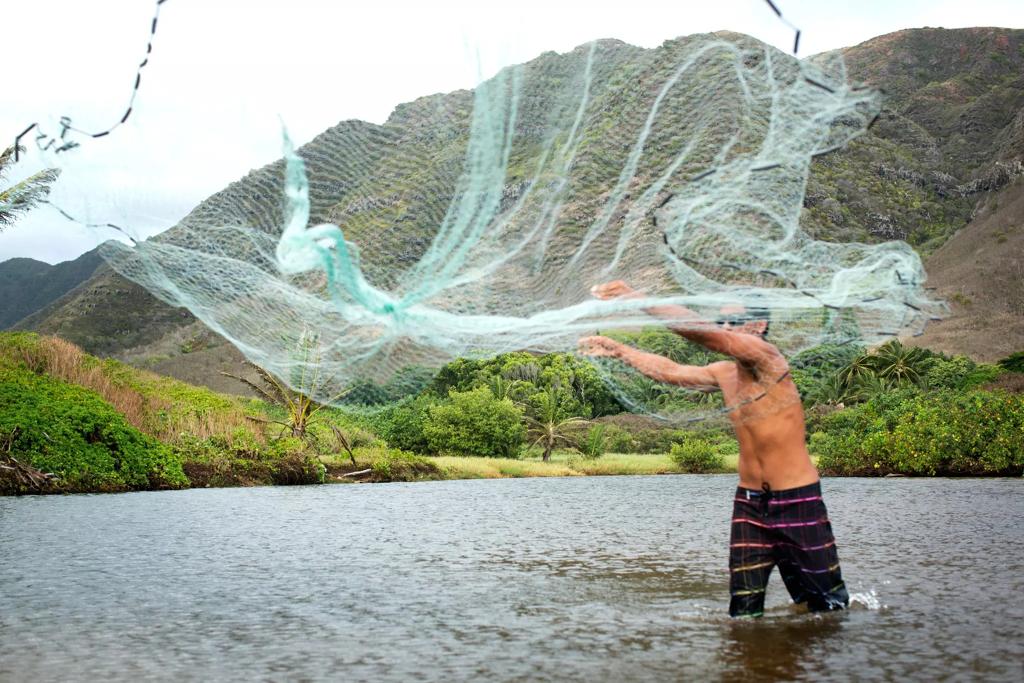 A man wades into the sea and throws a fishing net