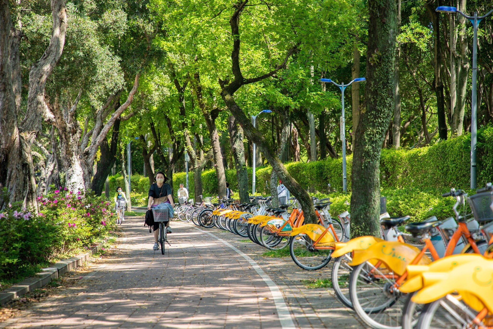 Bicycle riders on a tree-covered path in Da'an Forest Park, Taipei, Taiwan.