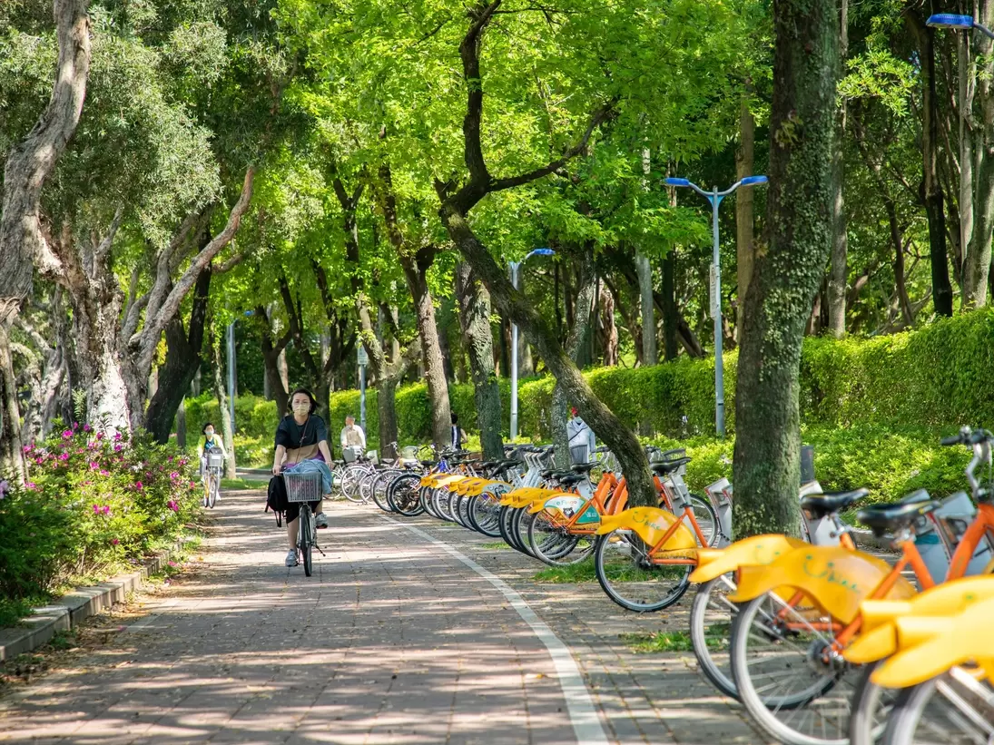Bicycle riders on a tree-covered path in Da'an Forest Park, Taipei, Taiwan.