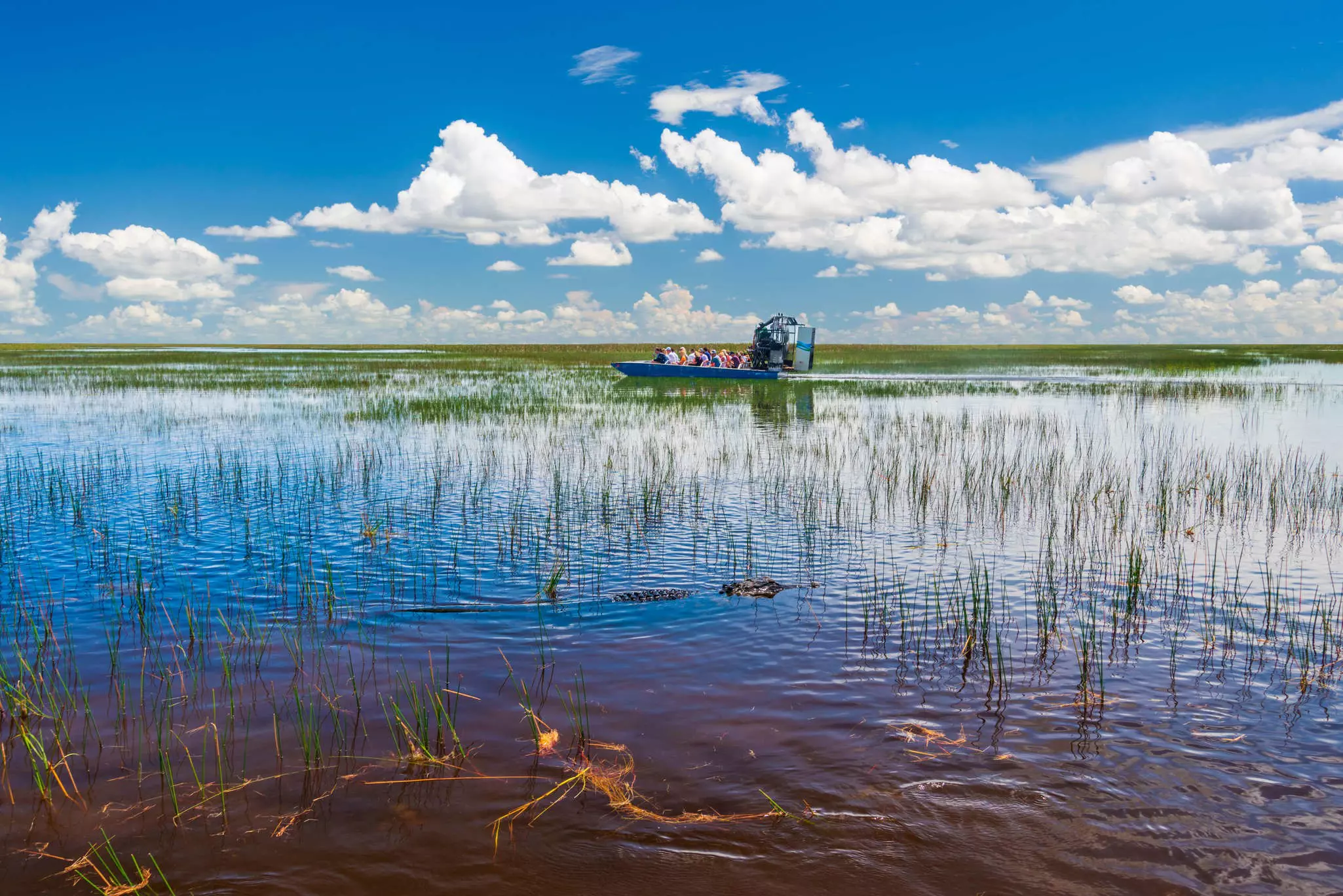 Airboat rides are a quintessential Everglades experience © allouphoto / Shutterstock