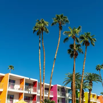 Full of great mid-century architecture, long wild walks and an incredible poolside scene, Palm Springs is prime for an adult field trip. Delpixel/Shutterstock