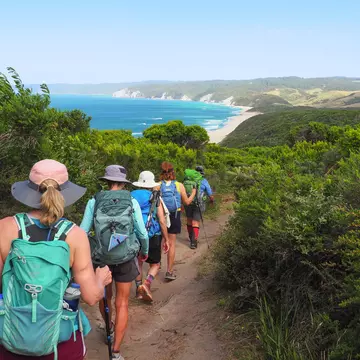 You've heard of the Great Ocean Road, but did you know you can also walk this stunning Australian coastline? © Sarah Reid / Lonely Planet