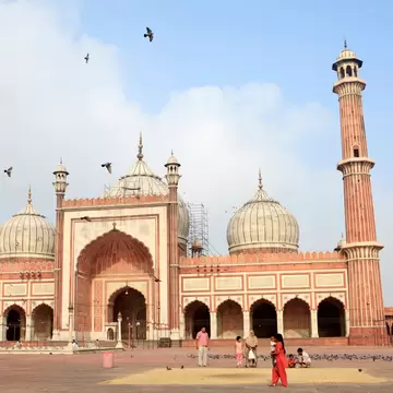 Children feeding pigeons outside Jama Masjid in the early morning.