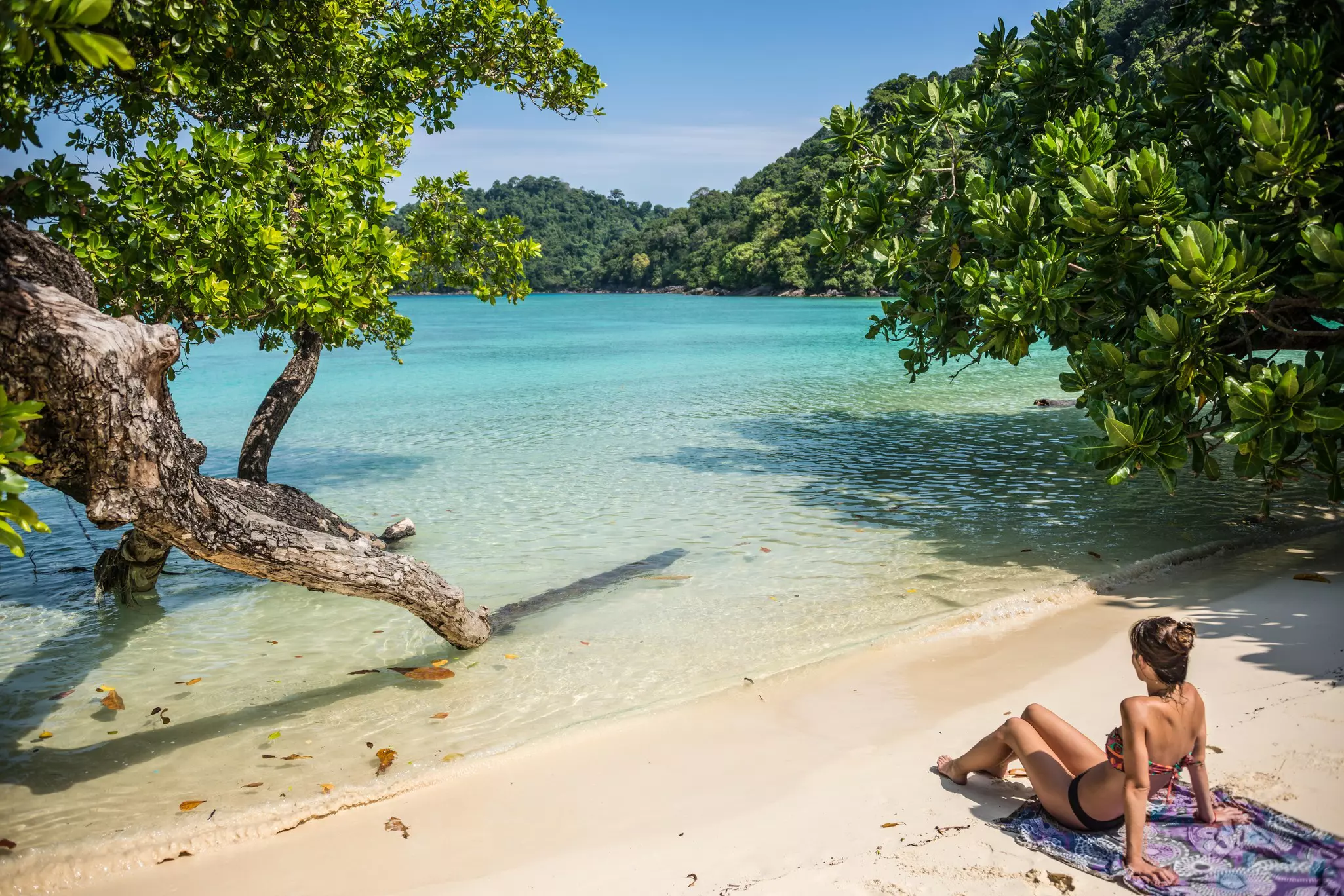 A woman in a bikini sits back on the sand of a secluded tropical beach. Mangrove trees grow in the water, providing shade.