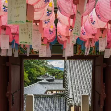 Rows of pink paper lanterns above an open wooden temple door, with grey tiled roofs and green hills behind.