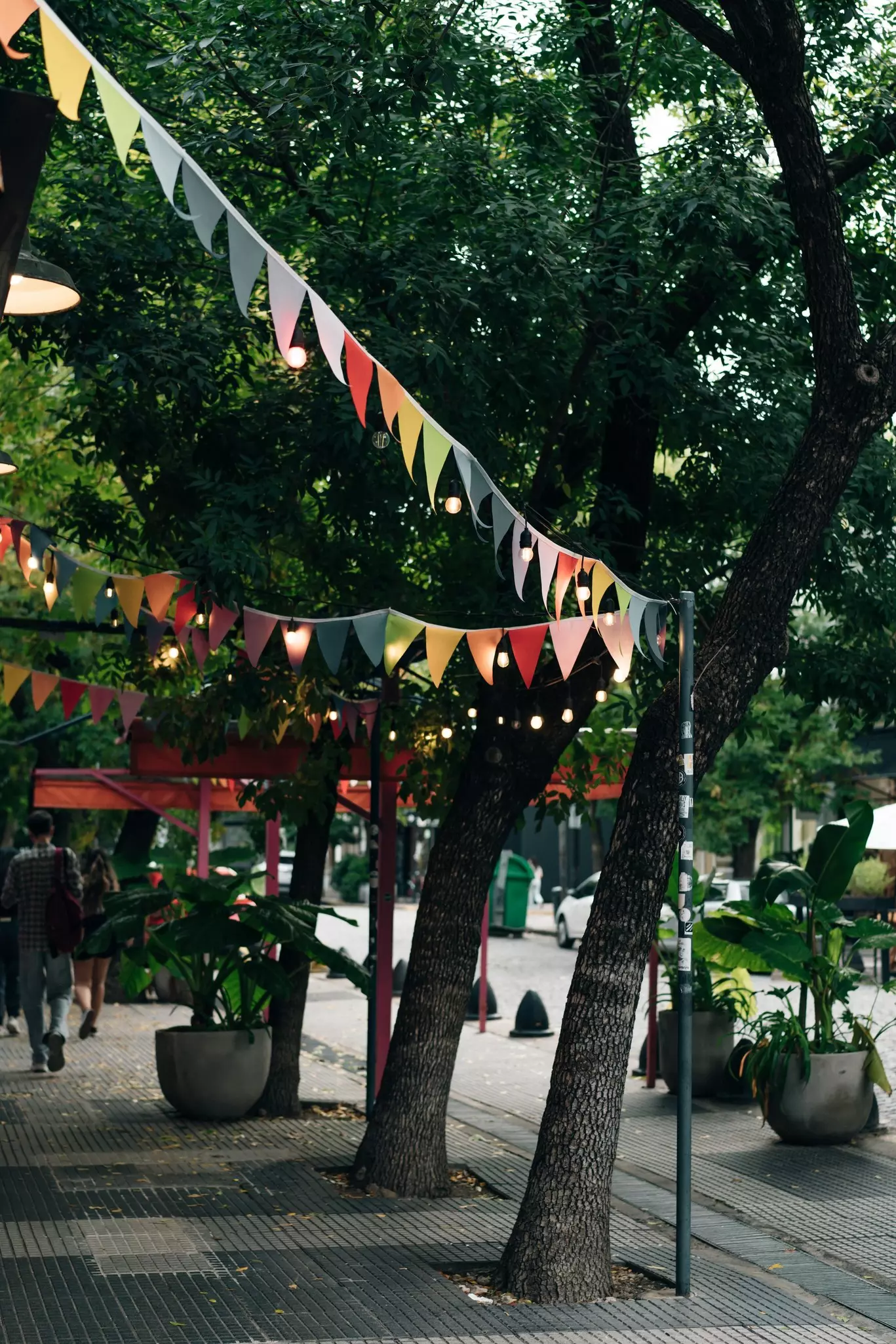 Colorful pendent flags hang between trees on a shaded city sidewalk
