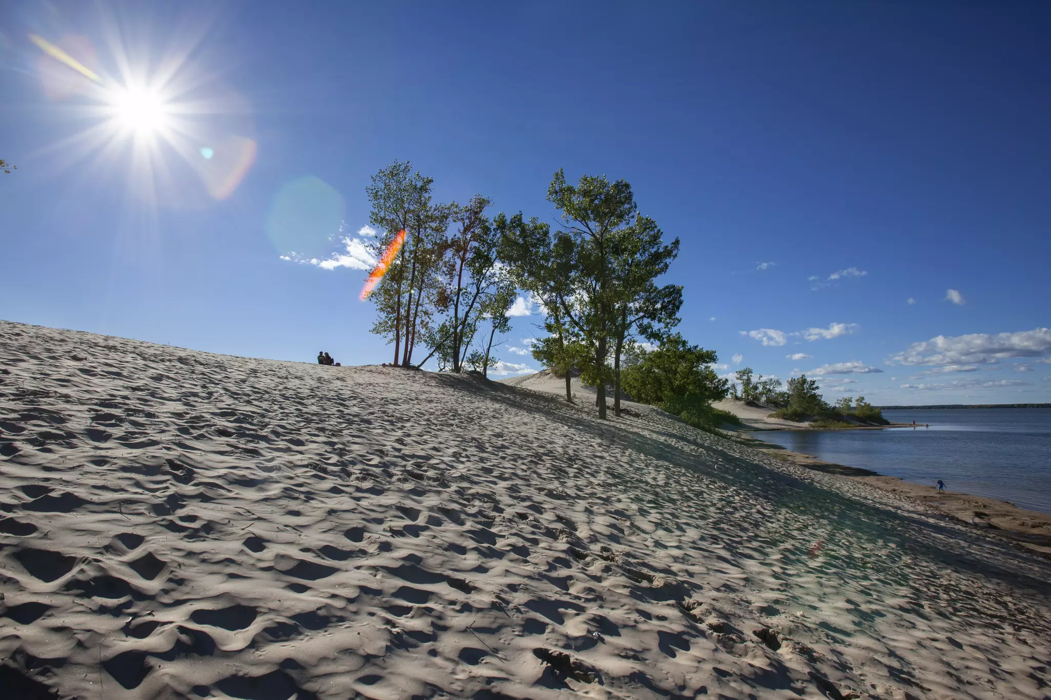 Dunes Beach on Lake Ontario has calm waters and dunes dotted with trees © James R.D. Scott / Getty Images