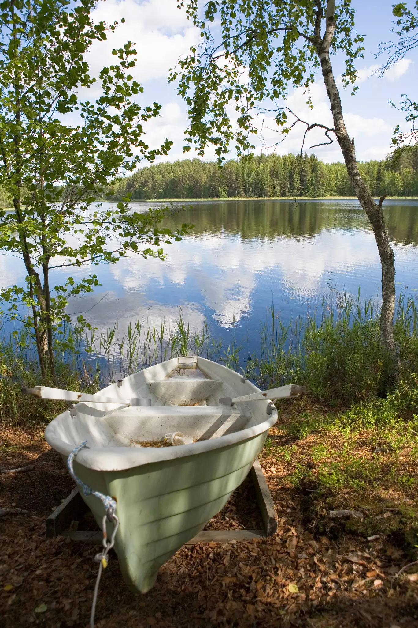 A sage green rowboat stranded on a leaf-strewn shore of a northern lake surrounded by evergreens.
